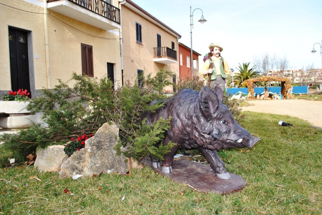 37 - Cinghiale - Giuseppe Coinu e famiglia. Hotel Cala Reale