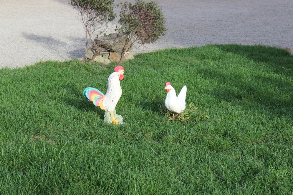 76 - Gallo e Gallina - Anno 2008 -Associazione Il Tempo della Memoria-Gallo e Gallina - Presepe di Stintino