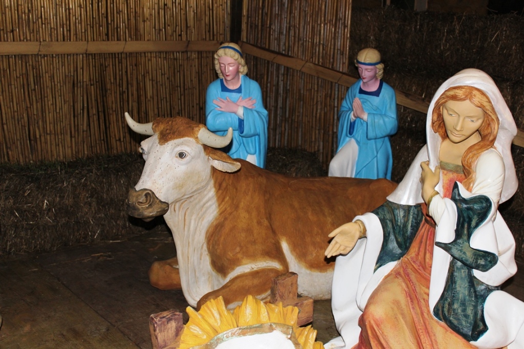 7 - Bue - Anno 2008 - Cooperativa Golfo dell'Asinara - Associazione Il Tempo della Memoria - Presepe di Stintino