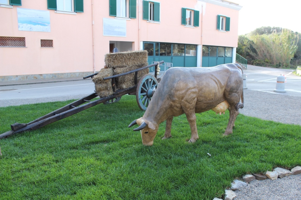 55 - Mucca che bruca - Anno 2014 - Mario Tomasoni e famiglia - Associazione Il Tempo della Memoria -Presepe di Stintino