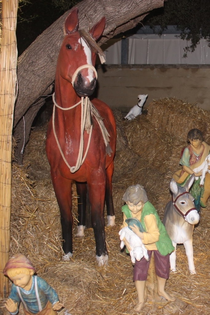 81 - Cavallo - Anno 2008 - Associazione Il Tempo della Memoria - Presepe di Stintino